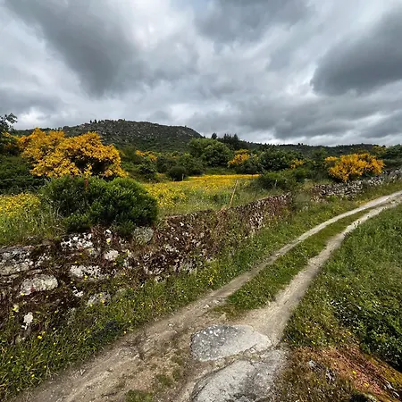 Casa Da Regadinha * Muxagata (Fornos de Algodres)
