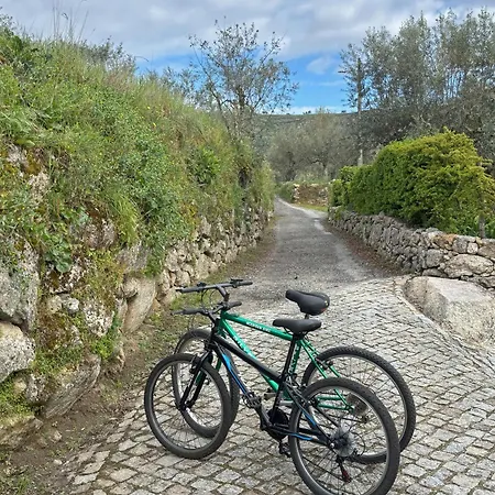 Casa Da Regadinha 빌라